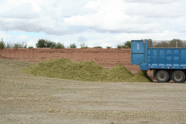 Silage IMG_1621 (640x427)